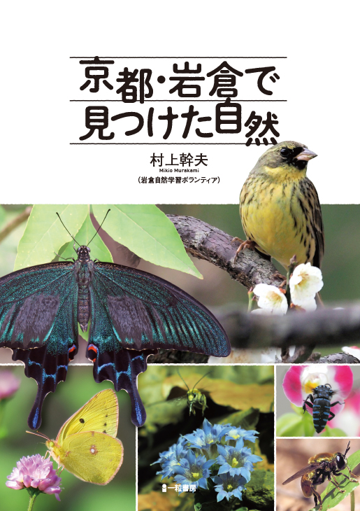 京都・岩倉で見つけた自然 京都・岩倉で見つけた自然