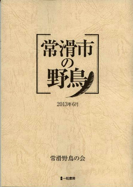 常滑市の野鳥