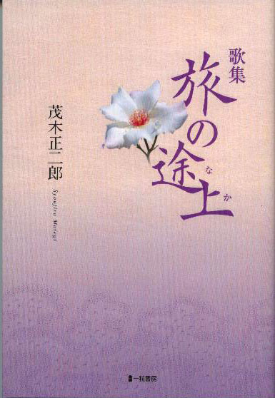 歌集 旅の途上(なか) 歌集 旅の途上(なか)