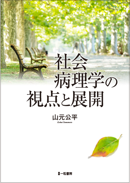 社会病理学の視点と展開 - ウインドウを閉じる