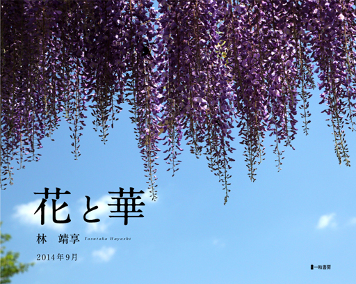 花と華 花と華