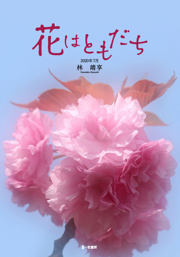 花はともだち 花はともだち
