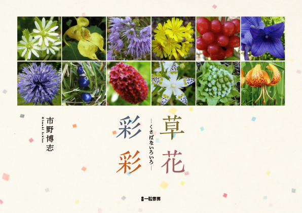 草花彩彩(くさばないろいろ) 草花彩彩(くさばないろいろ)