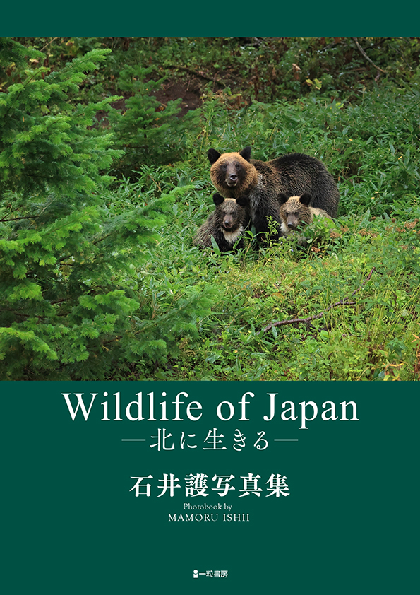 石井護写真集　Wildlife of Japan －北に生きる－